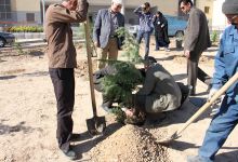 گزارش تصویری مراسم روز درخت کاری و تقدیر از نیروهای باغبانی دانشگاه